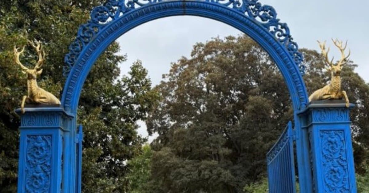 The club lined up under the blue gate at Djurgården